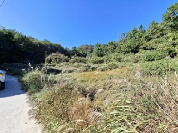 경상남도 남해군 창선면 진동리 148