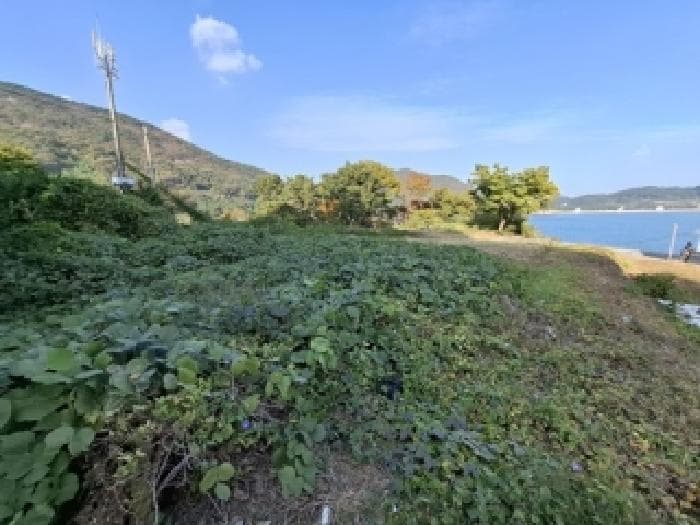경상남도 남해군 상주면 상주리 213-4