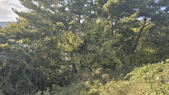 경상남도 남해군 고현면 도마리 431-4