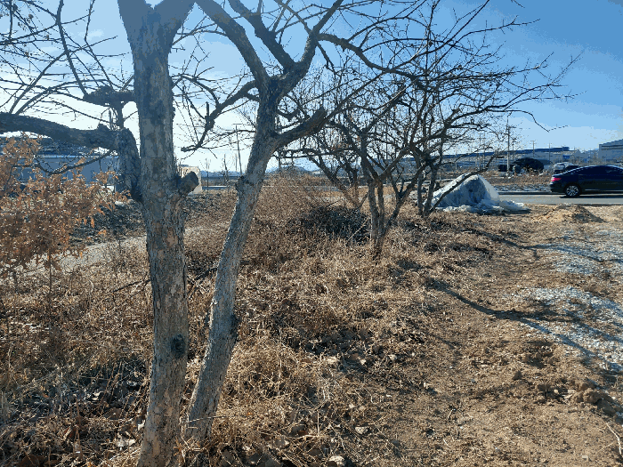 경상남도 사천시 사남면 초전리 728-10