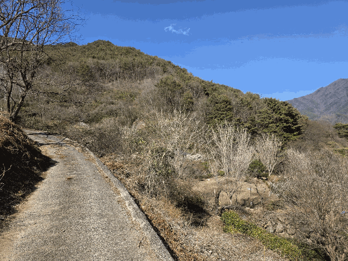 경상남도 하동군 화개면 삼신리 421