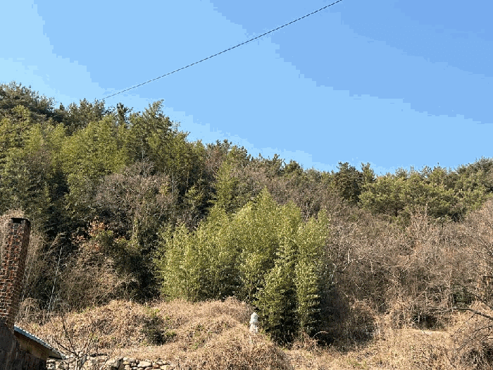 경상남도 남해군 상주면 상주리 산226-1