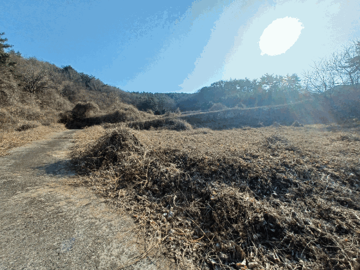 경상남도 남해군 남면 죽전리 854