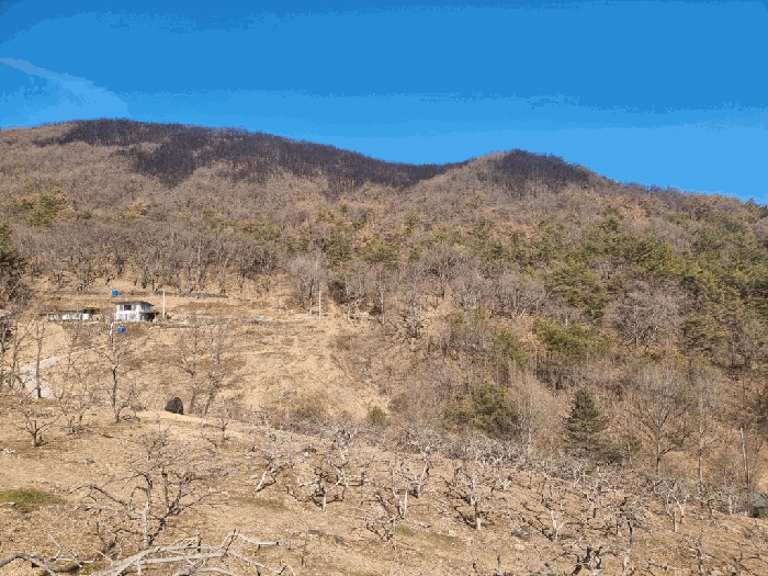 경상남도 하동군 옥종면 두양리 산10