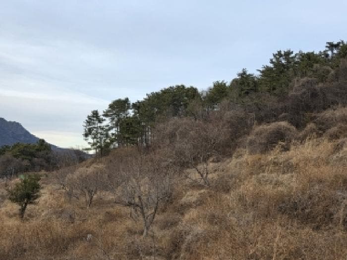 경상남도 남해군 이동면 신전리 1434