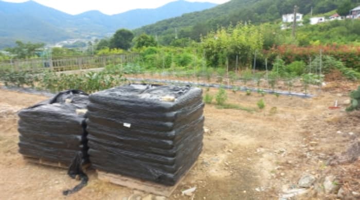 경상남도 거제시 거제면 옥산리 517-7