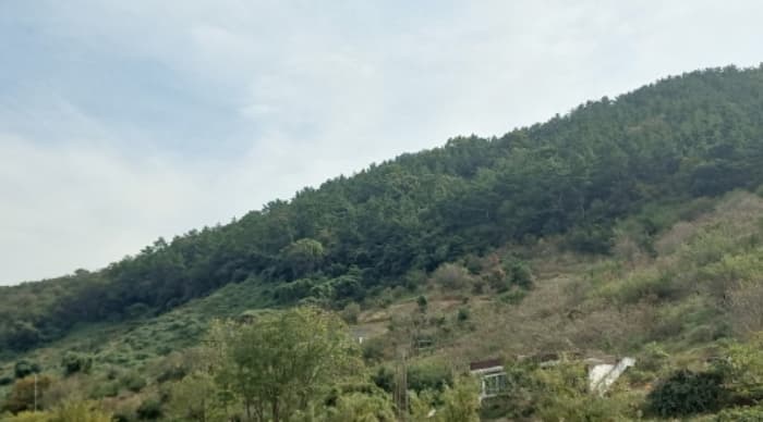경상남도 거제시 장목면 송진포리 산3-5