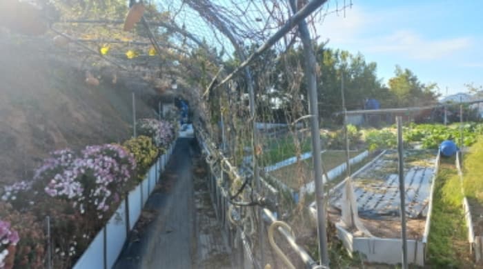 경상남도 거제시 거제면 오수리 1083