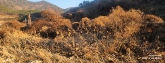 경상남도 고성군 동해면 장좌리 809
