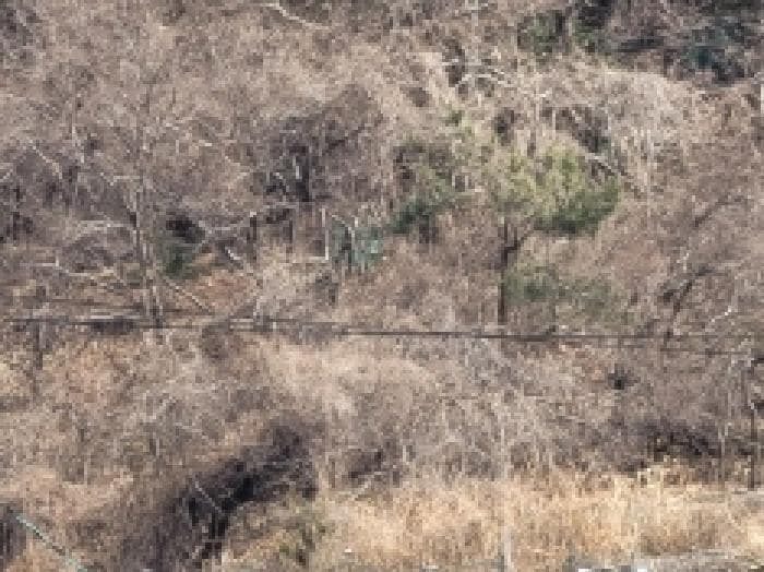 경상남도 거제시 사등면 사곡리 3