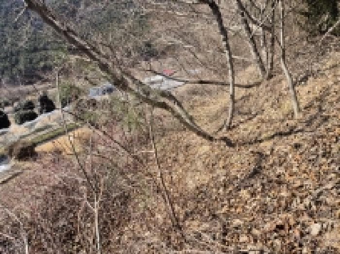 경상남도 고성군 상리면 망림리 산41 가동
