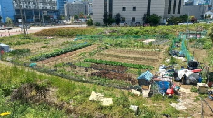 경상남도 거제시 일운면 지세포리 1257