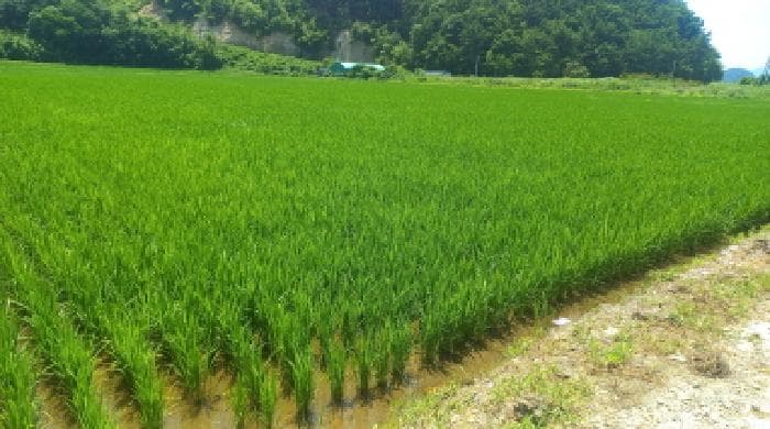 경상남도 거제시 동부면 산촌리 498