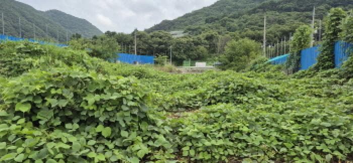 경상남도 고성군 마암면 신리 404-1