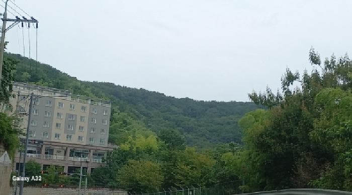 경상남도 거제시 장평동 산179