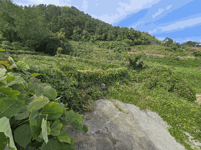 경상남도 거제시 장목면 외포리 541-6 주2동