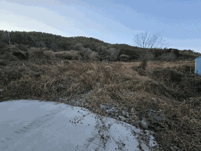 경상남도 거제시 장목면 농소리 831-1