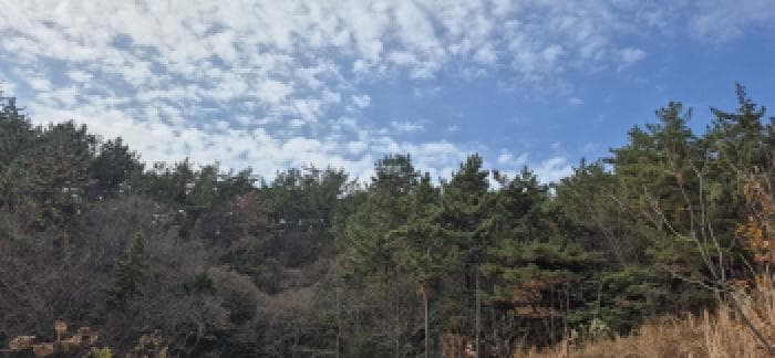 경상남도 고성군 하이면 덕명리 산166