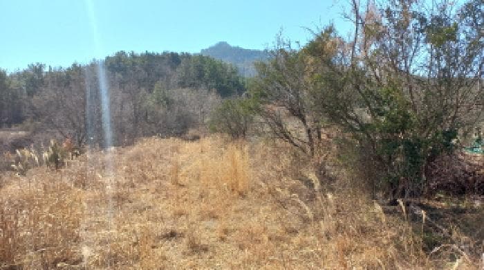 경상남도 거제시 장목면 장목리 421-53