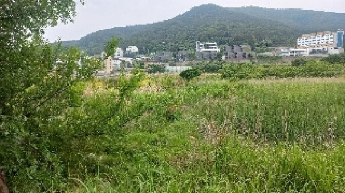 경상남도 거제시 일운면 와현리 411-2