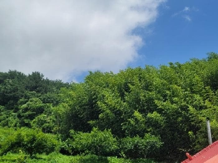 경상남도 거제시 둔덕면 거림리 844