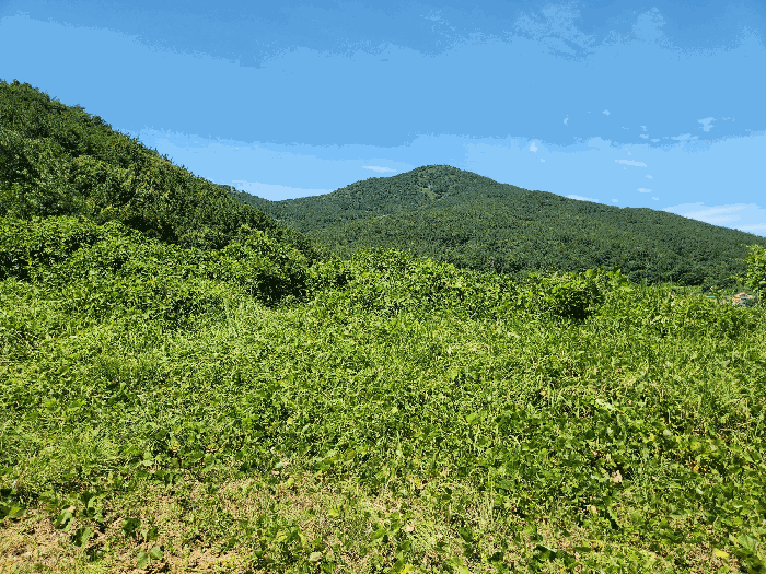 경상남도 거제시 둔덕면 거림리 692-2