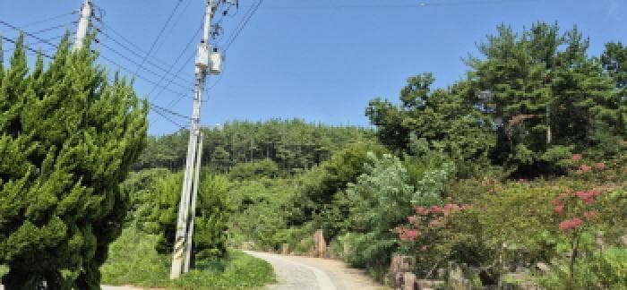 경상남도 고성군 하일면 용태리 산11-5