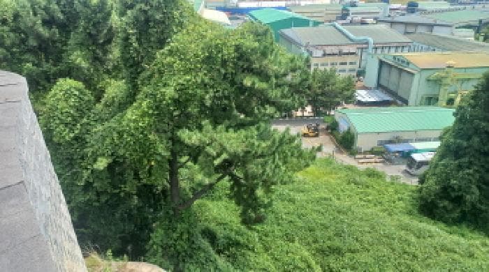 경상남도 거제시 장평동 산170-8