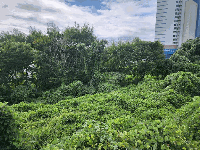 경상남도 거제시 일운면 소동리 84