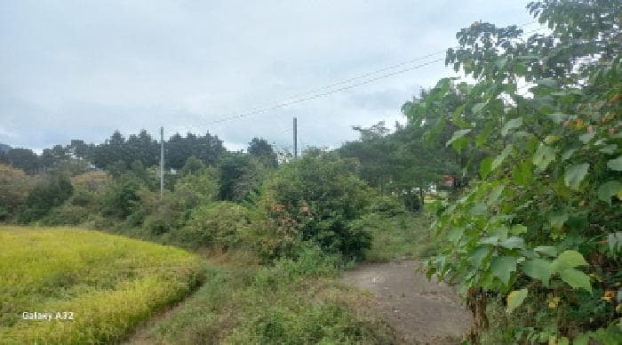 경상남도 거제시 동부면 산양리 1277-3