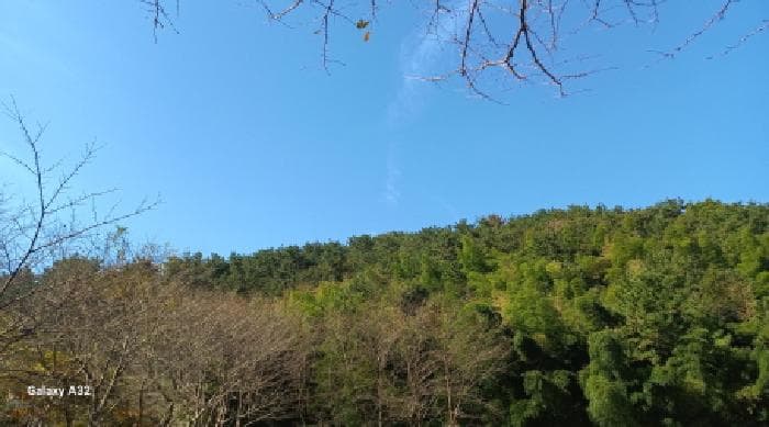 경상남도 거제시 장목면 율천리 산112
