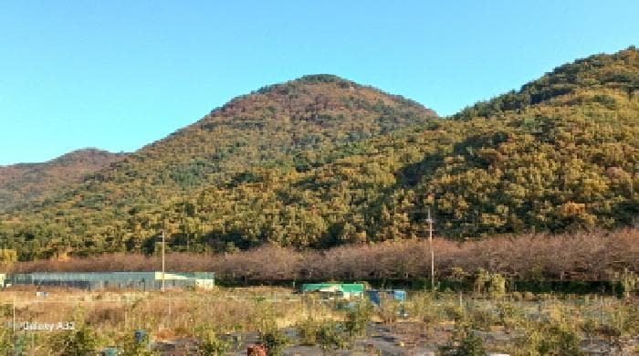 경상남도 거제시 상동동 산5-2