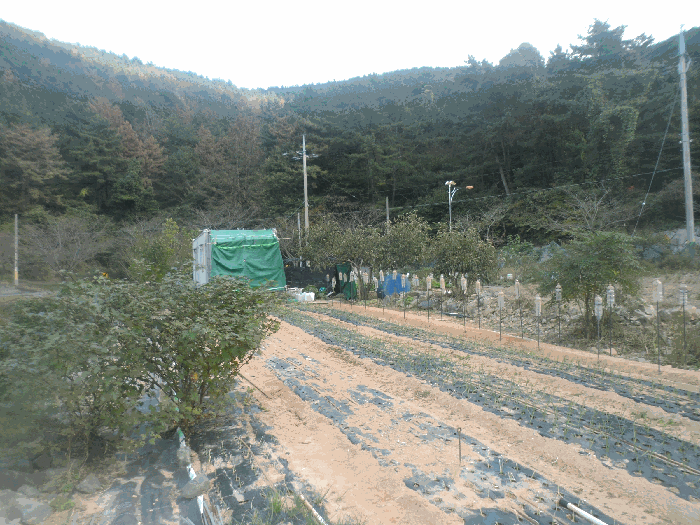 경상남도 거제시 사등면 지석리 43