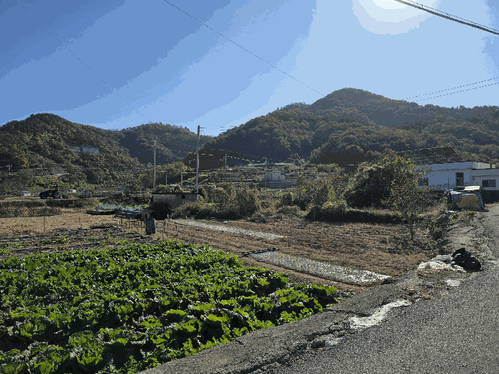 경상남도 거제시 장목면 구영리 248