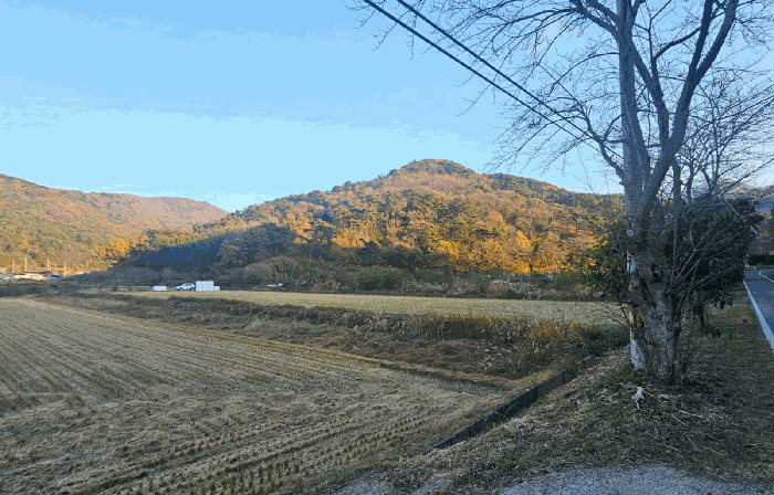 경상남도 거제시 동부면 부춘리 378-12