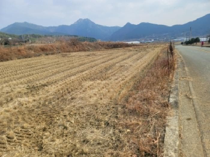 경상남도 거제시 둔덕면 거림리 264-1