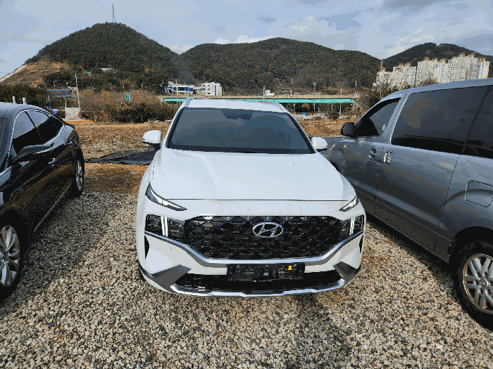 현대 싼타페(SANTAFE) 2021년식