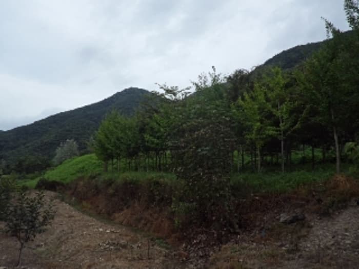 경상남도 밀양시 무안면 화봉리 788