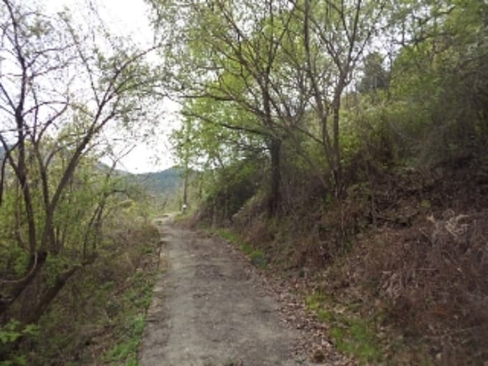 경상남도 밀양시 산내면 송백리 484