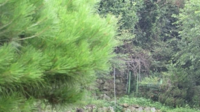 경상남도 창녕군 계성면 봉산리 1627-1