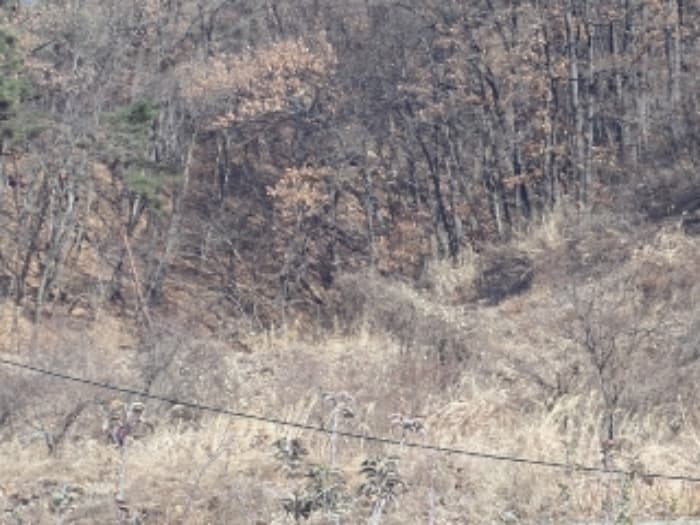 경상남도 밀양시 산내면 송백리 1033-13