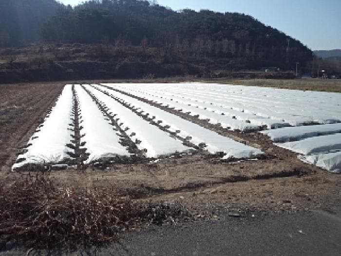 경상남도 창녕군 유어면 선소리 639