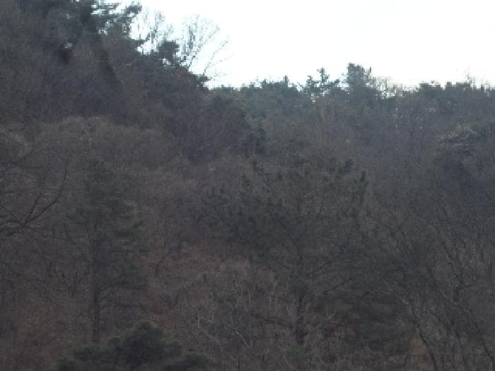 경상남도 창녕군 도천면 어만리 산140