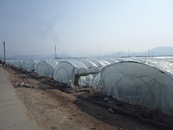 경상남도 밀양시 하남읍 명례리 1685