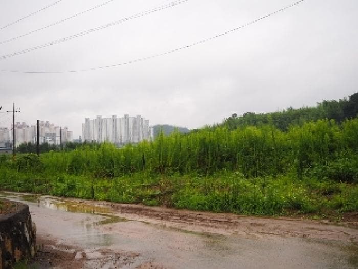 경상남도 창녕군 남지읍 학계리 655-1