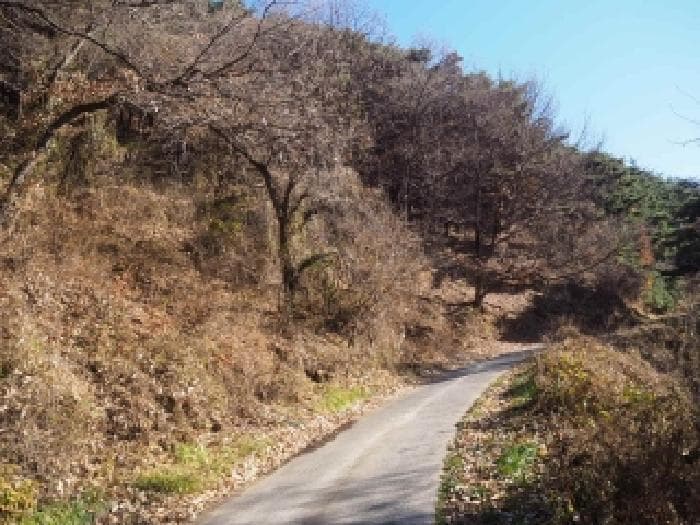 경상남도 밀양시 산내면 용전리 1090