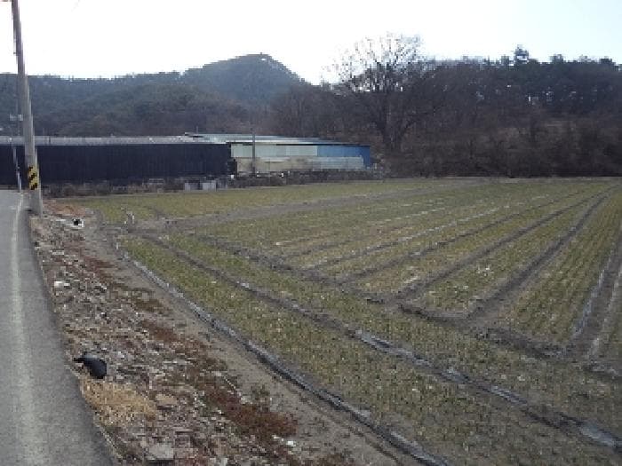 경상남도 창녕군 이방면 거남리 706-1
