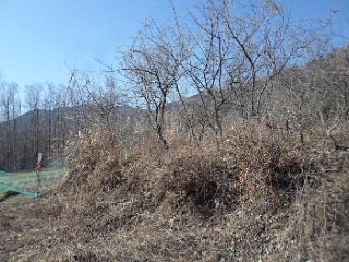 경상남도 창녕군 창녕읍 옥천리 636-1
