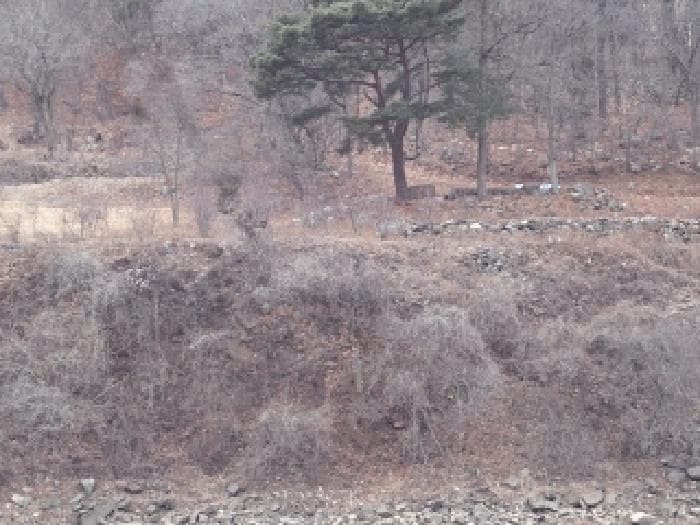 경상남도 창녕군 창녕읍 옥천리 922-1