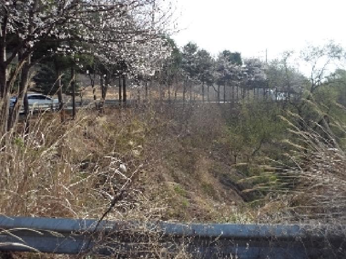 경상남도 밀양시 초동면 오방리 619-1